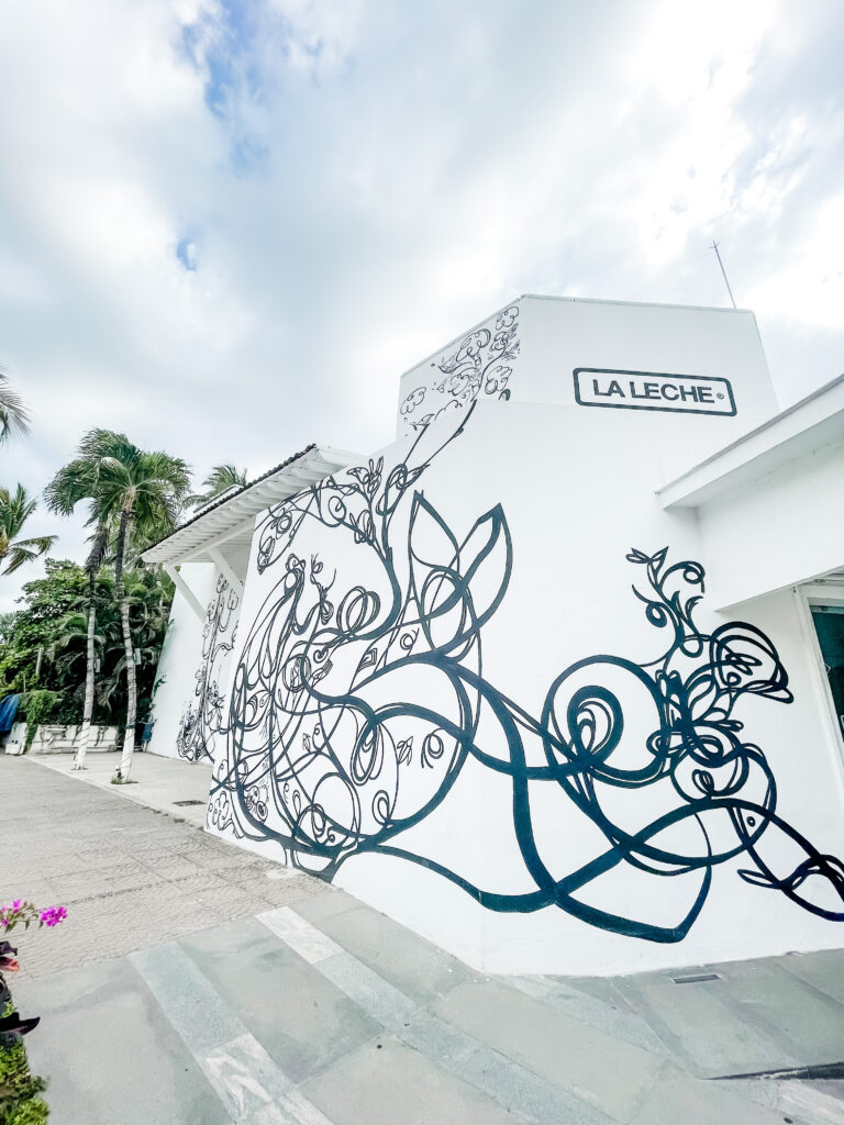 La Leche Puerto Vallarta