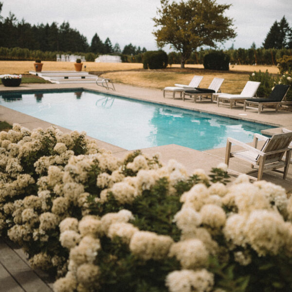 At The Joy, Willamette Valley Wine Country Stay