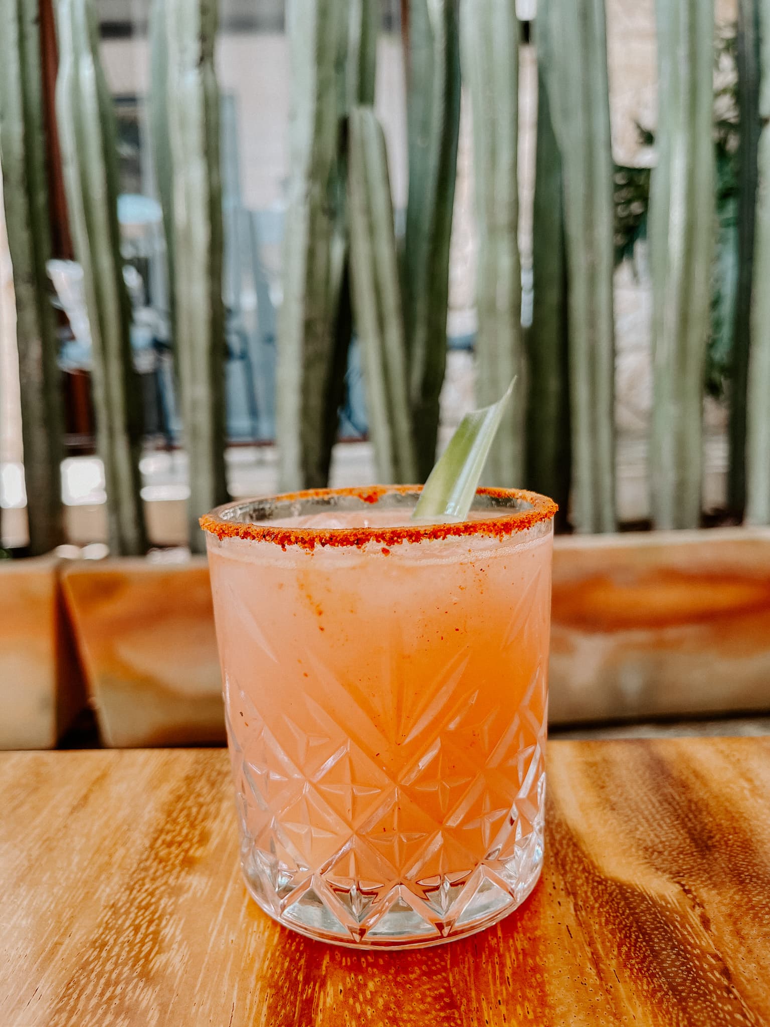 mexcalita in Oaxaca