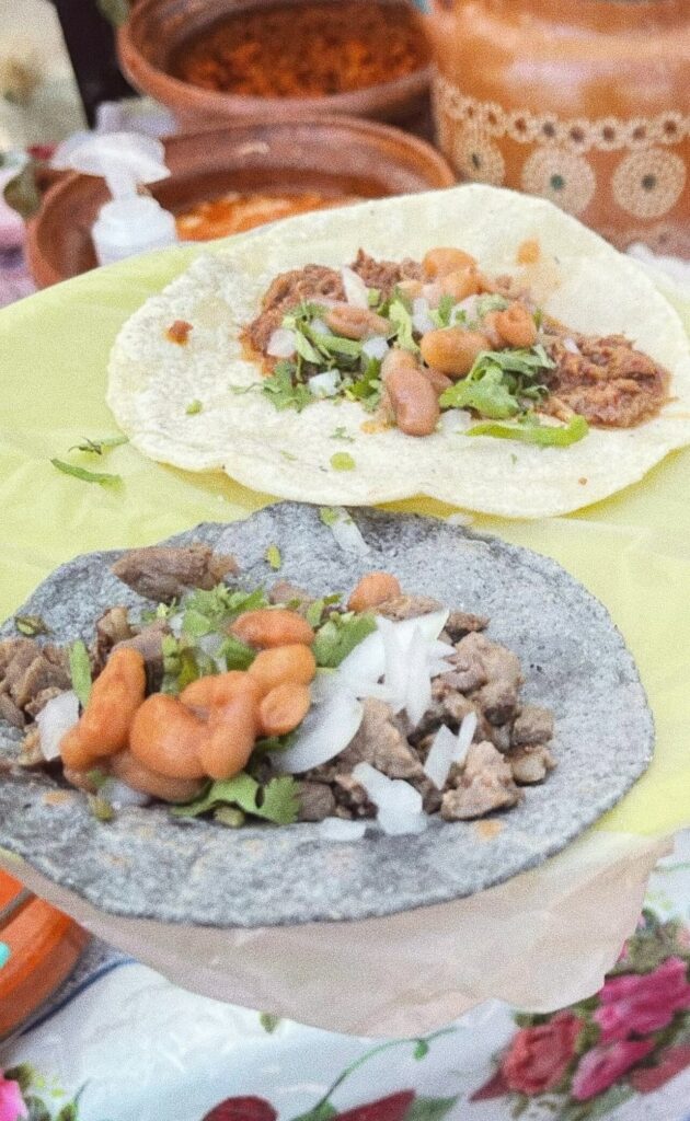 Puerto Vallarta Street Tacos